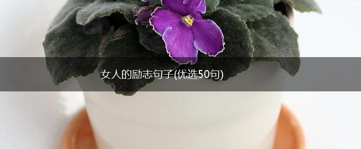 女人的励志句子(优选50句),第1张