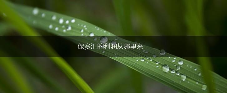 保多汇的利润从哪里来,第1张