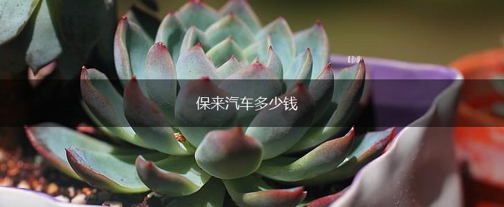 保来汽车多少钱,第1张