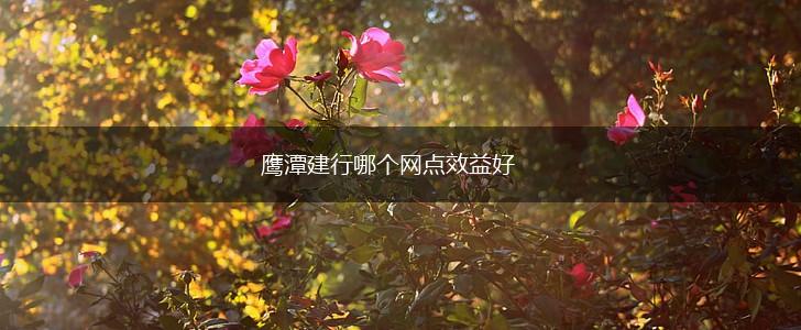 鹰潭建行哪个网点效益好,第1张