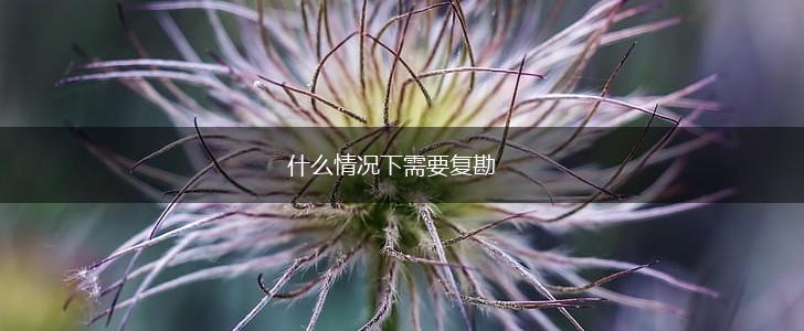 什么情况下需要复勘,第1张