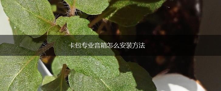 卡包专业音箱怎么安装方法,第1张