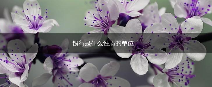 银行是什么性质的单位,第1张