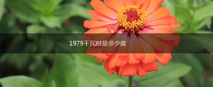 1979千瓦时是多少度,第1张