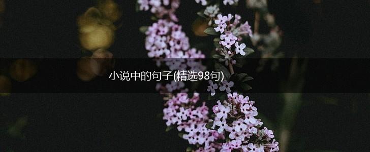 小说中的句子(精选98句),第1张