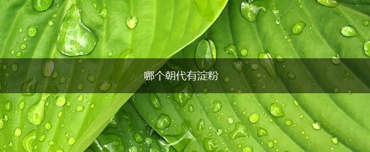哪个朝代有淀粉,第1张