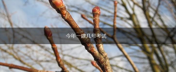 今年一建几号考试,第1张