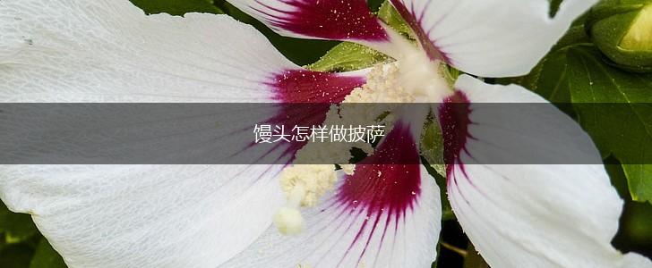 馒头怎样做披萨,第1张
