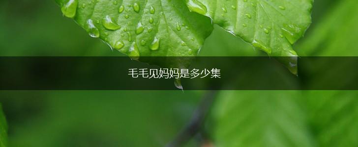 毛毛见妈妈是多少集,第1张