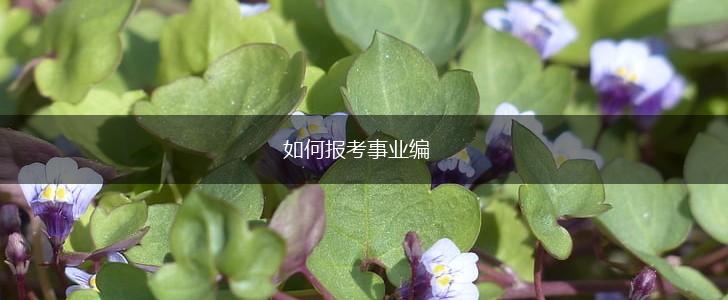 如何报考事业编,第1张