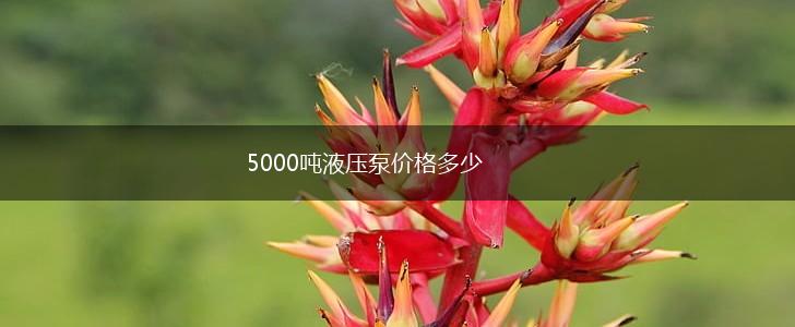 5000吨液压泵价格多少,第1张