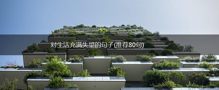 对生活充满失望的句子(推荐80句),第1张