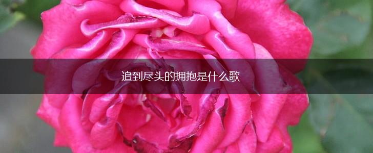 追到尽头的拥抱是什么歌,第1张