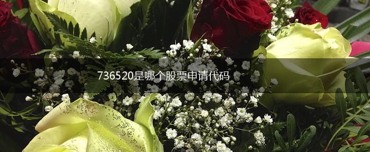 736520是哪个股票申请代码,第1张