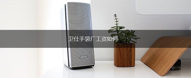 卫仕手袋厂工资如何,第1张