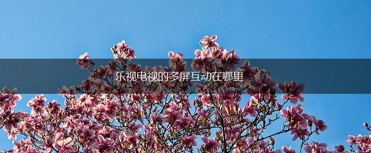 乐视电视的多屏互动在哪里,第1张