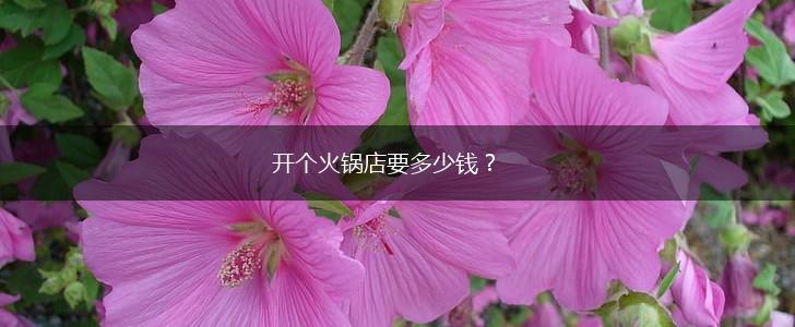 开个火锅店要多少钱？,第1张