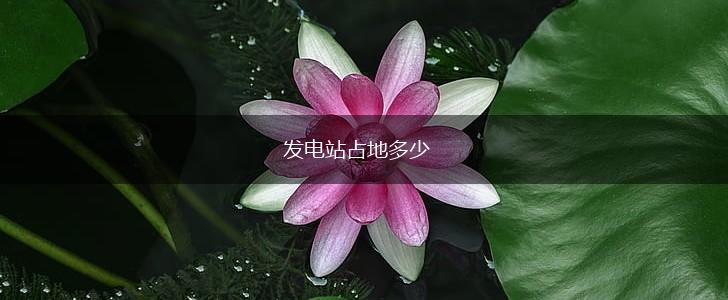 发电站占地多少,第1张