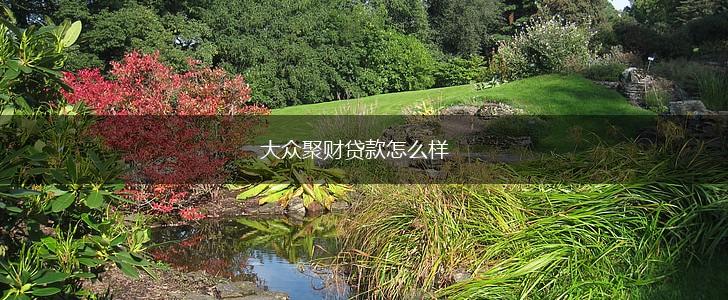 大众聚财贷款怎么样,第1张