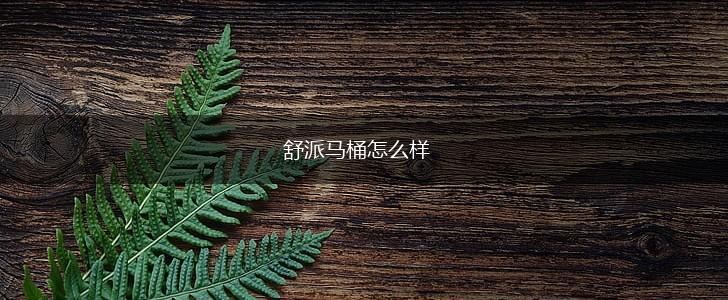 舒派马桶怎么样,第1张