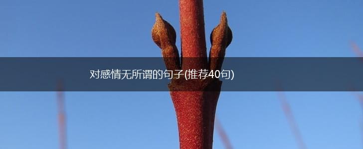 对感情无所谓的句子(推荐40句),第1张