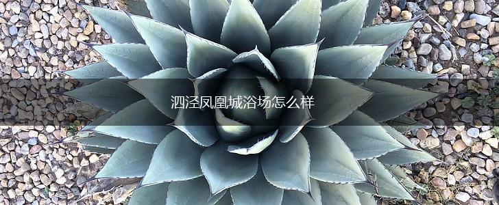 泗泾凤凰城浴场怎么样,第1张