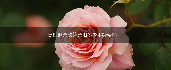 高铁退票改签票扣多少手续费吗,第1张