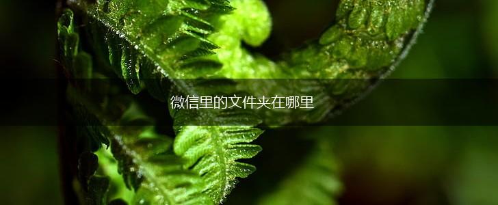 微信里的文件夹在哪里,第1张