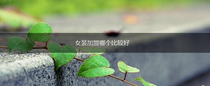 女装加盟哪个比较好,第1张