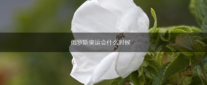 俄罗斯奥运会什么时候,第1张