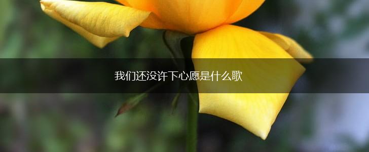 我们还没许下心愿是什么歌,第1张