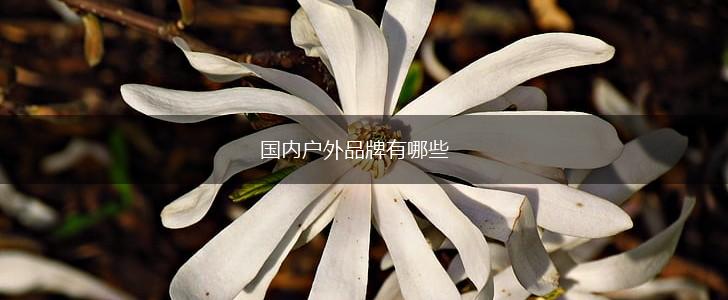 国内户外品牌有哪些,第1张