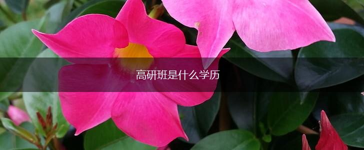 高研班是什么学历,第1张
