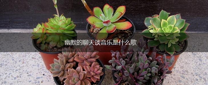 幽默的聊天谈音乐是什么歌,第1张