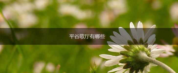 平谷歌厅有哪些,第1张
