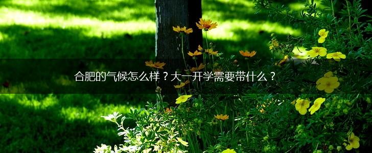 合肥的气候怎么样？大一开学需要带什么？,第1张