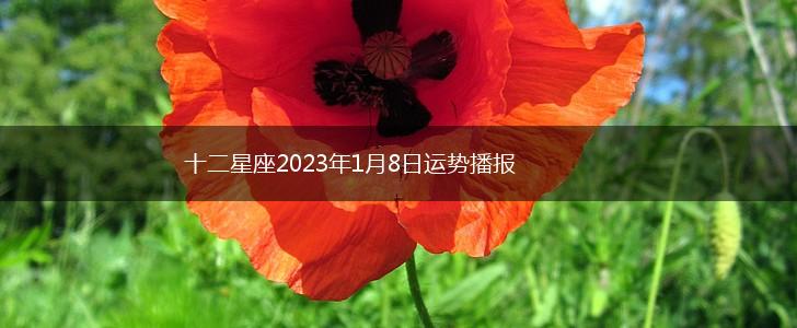 十二星座2023年1月8日运势播报,第1张