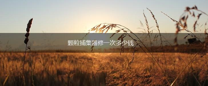 颗粒捕集器修一次多少钱,第1张
