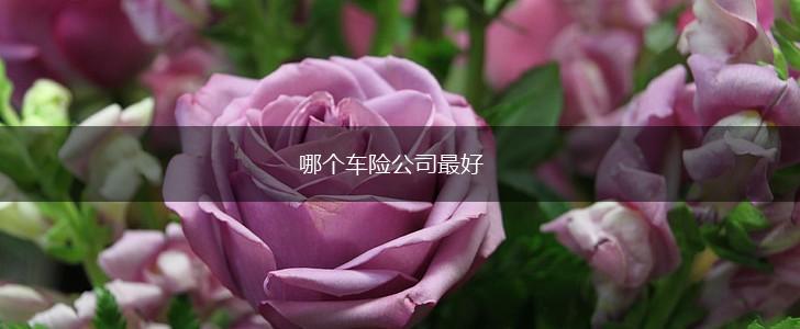 哪个车险公司最好,第1张