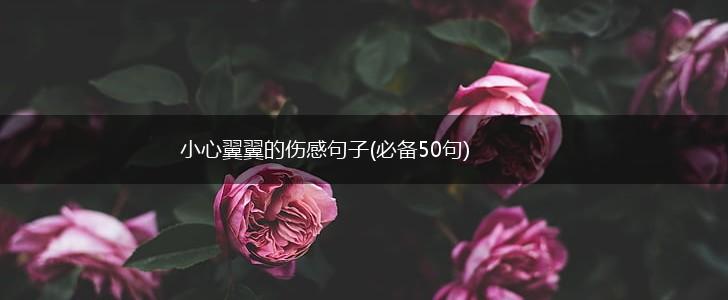 小心翼翼的伤感句子(必备50句),第1张