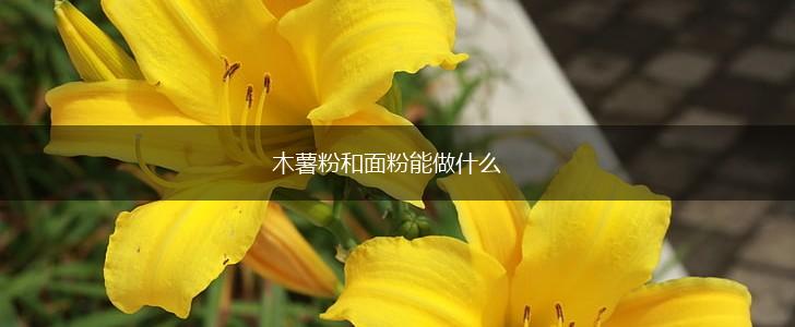 木薯粉和面粉能做什么,第1张