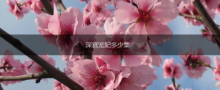 深宫宠妃多少集,第1张