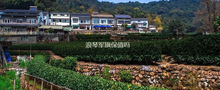 浪琴军旗保值吗,第1张