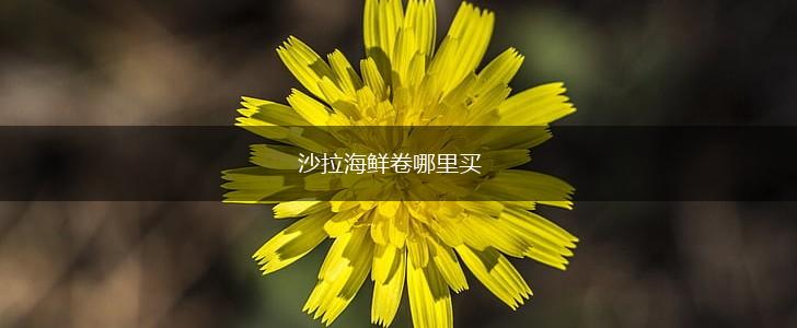 沙拉海鲜卷哪里买,第1张
