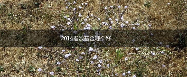 2014指数基金哪个好,第1张