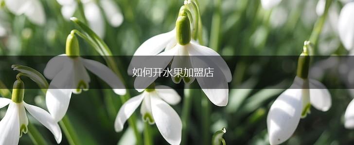 如何开水果加盟店,第1张