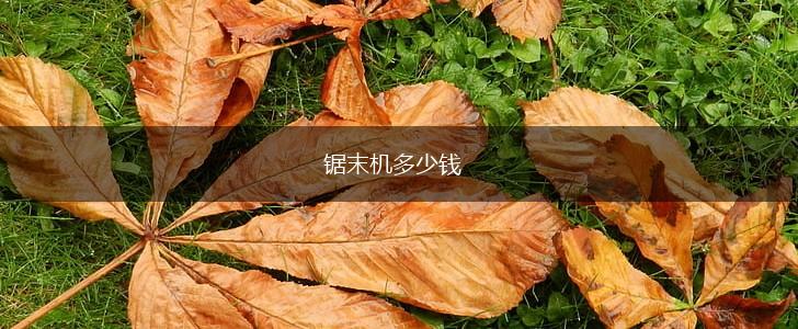 锯末机多少钱,第1张