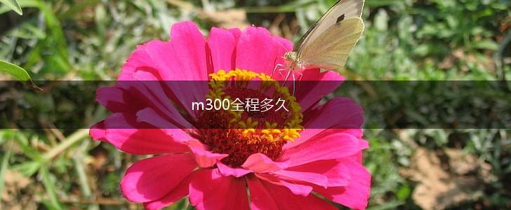 m300全程多久,第1张