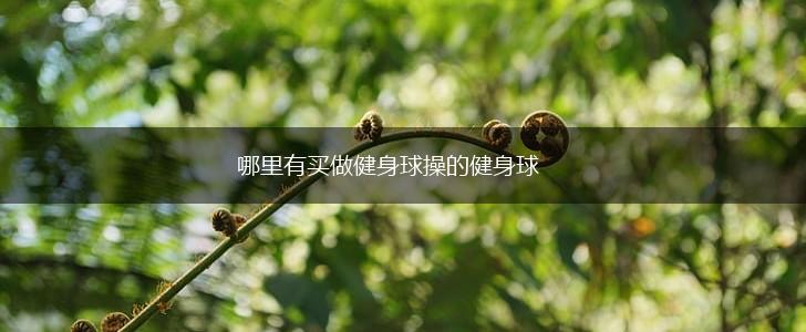 哪里有买做健身球操的健身球,第1张