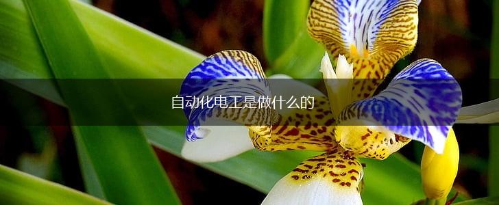 自动化电工是做什么的,第1张